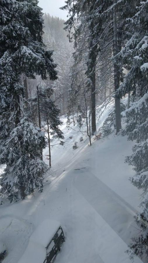 Ski & Holiday Apartments In Pamporovo Exterior foto