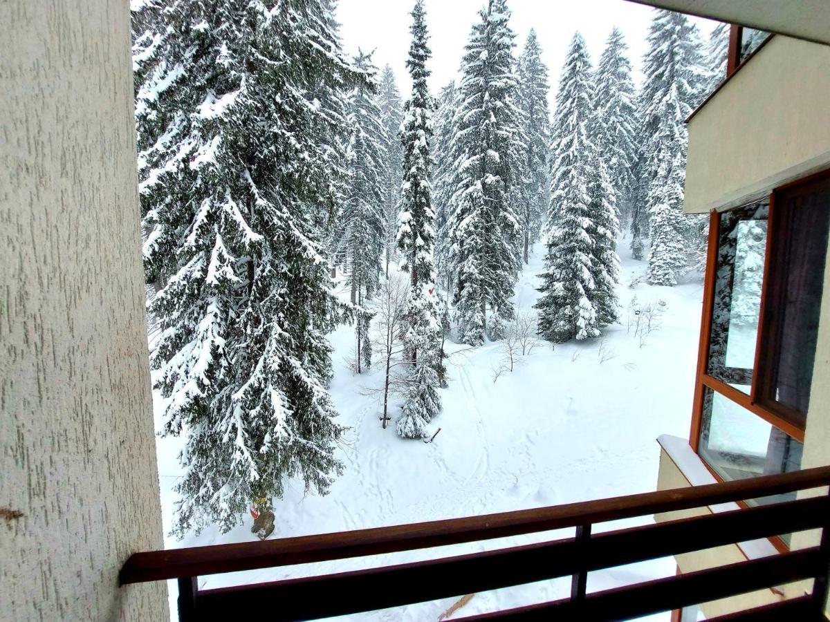 Ski & Holiday Apartments In Pamporovo Exterior foto