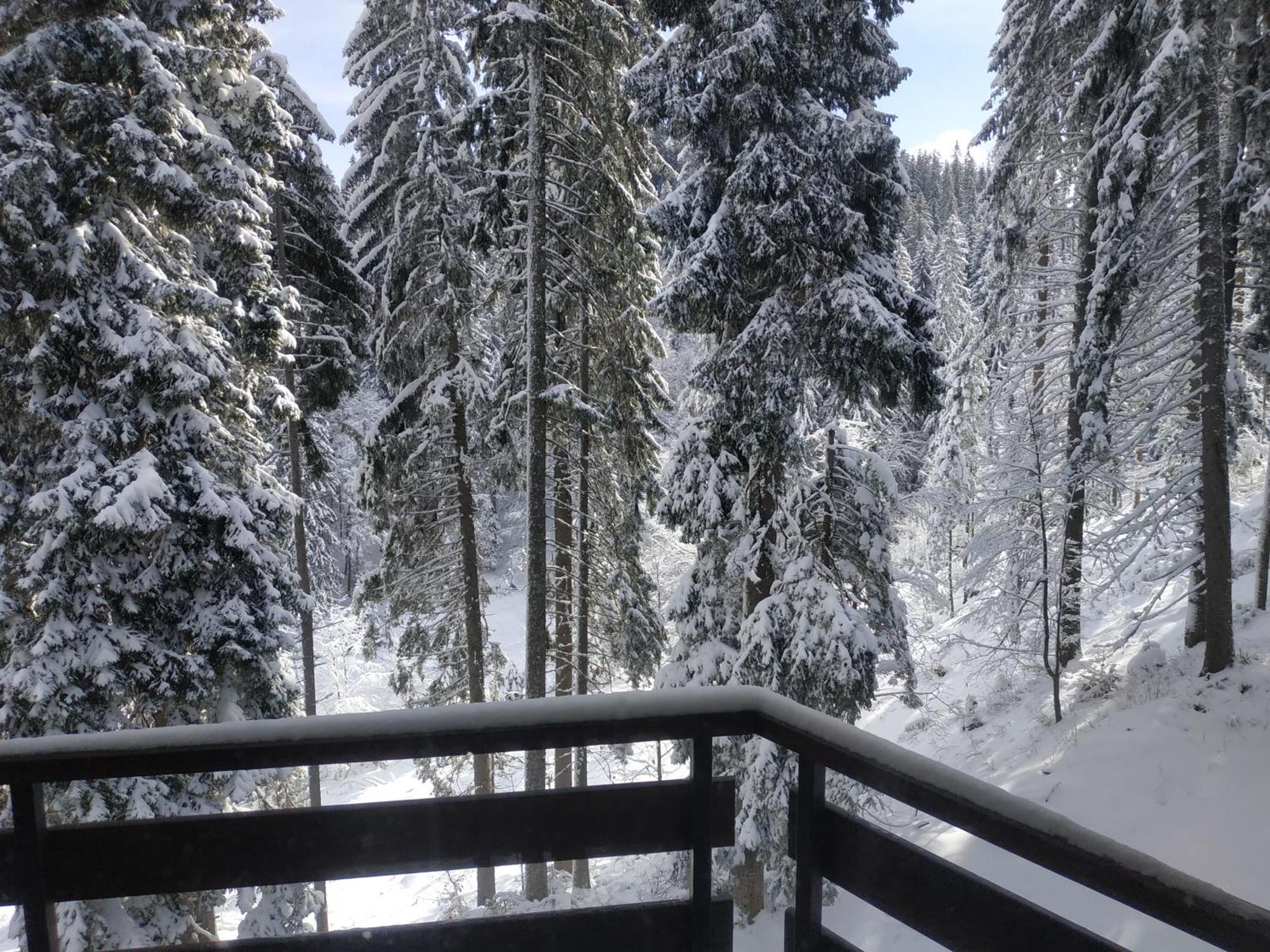 Ski & Holiday Apartments In Pamporovo Exterior foto
