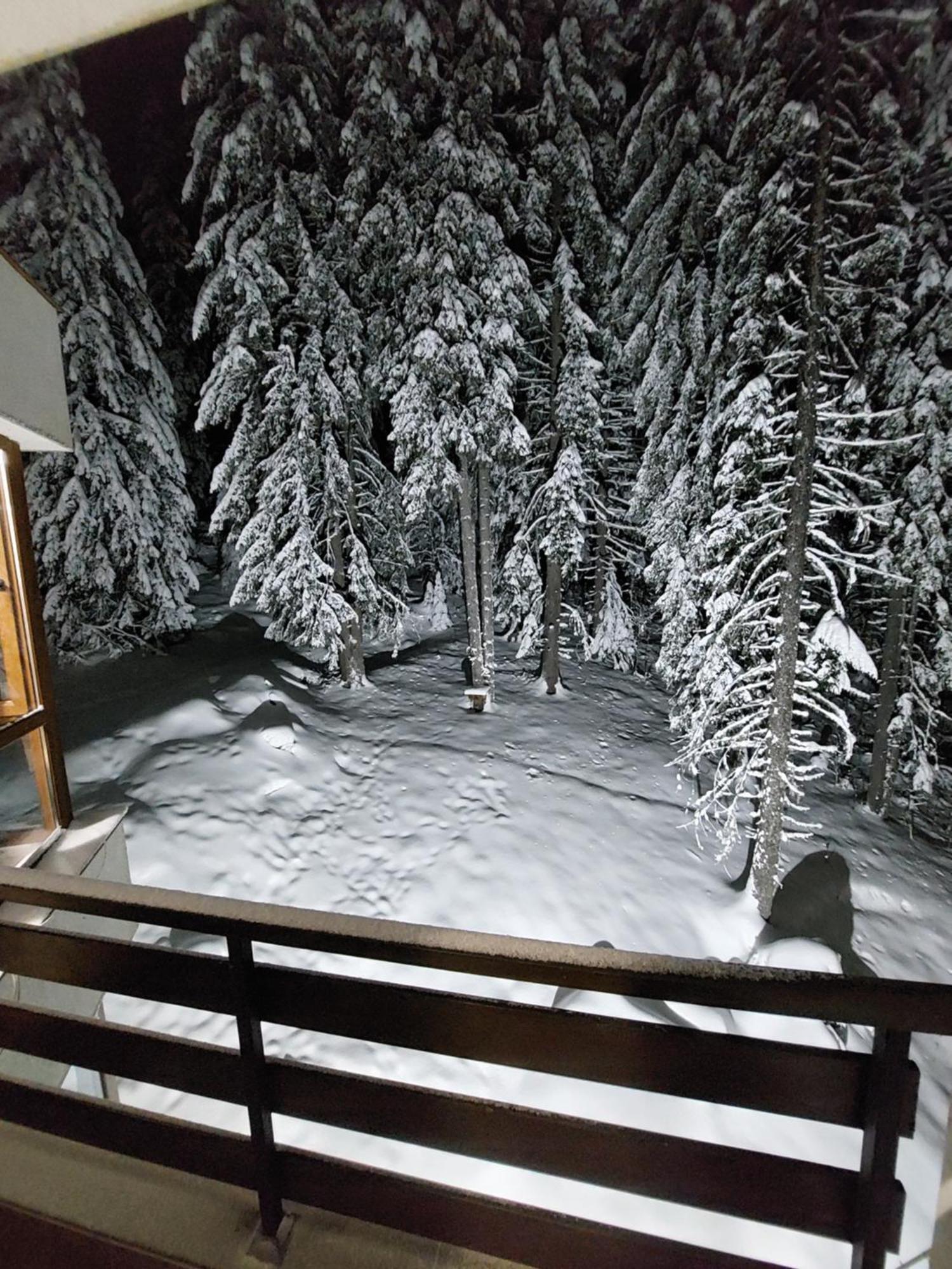 Ski & Holiday Apartments In Pamporovo Exterior foto